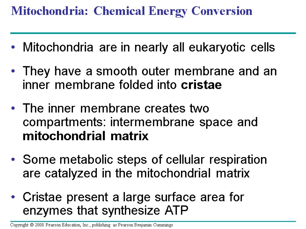 Mitochondria: Chemical Energy Conversion Mitochondria are in nearly all eukaryotic cells They have a